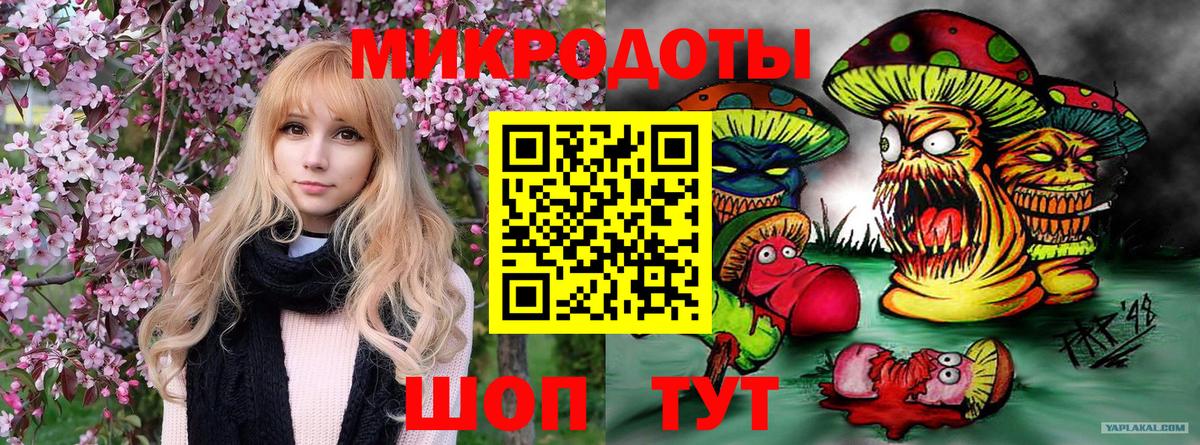 Псилоцибиновые грибы Cubensis  Вход с VPN  Галлюциногенные грибы Psilocybine cubensis  Узловая 